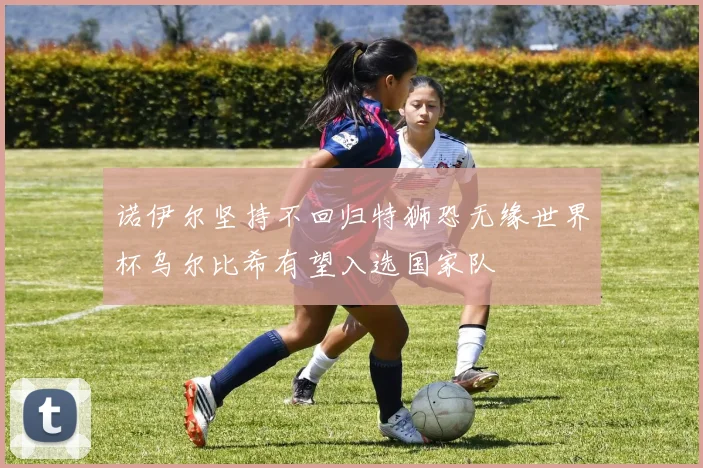 诺伊尔坚持不回归特狮恐无缘世界杯乌尔比希有望入选国家队