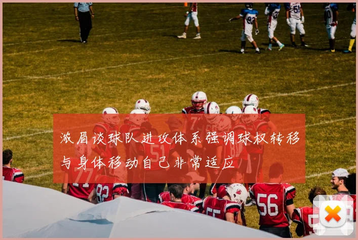 浓眉谈球队进攻体系强调球权转移与身体移动自己非常适应