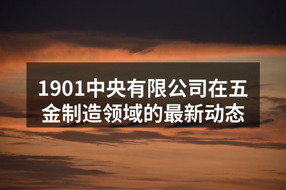 新型电钻展示