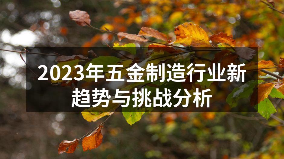 2023年五金制造行业新趋势与挑战分析